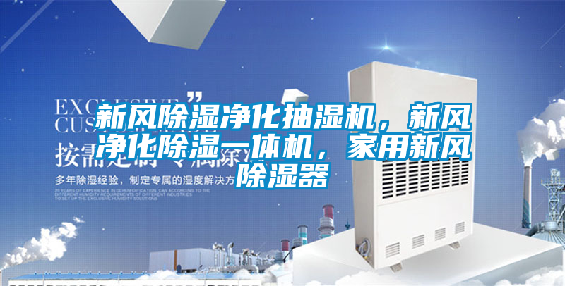 新风除湿净化抽湿机，新风净化除湿一体机，家用新风除湿器