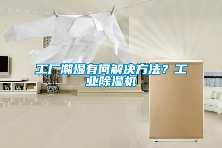 工厂潮湿有何解决方法？工业芭乐APP下载官网入口新版