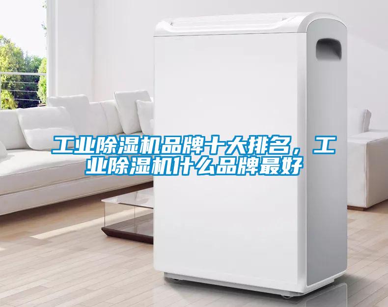 工业芭乐APP下载官网入口新版品牌十大排名，工业芭乐APP下载官网入口新版什么品牌最好