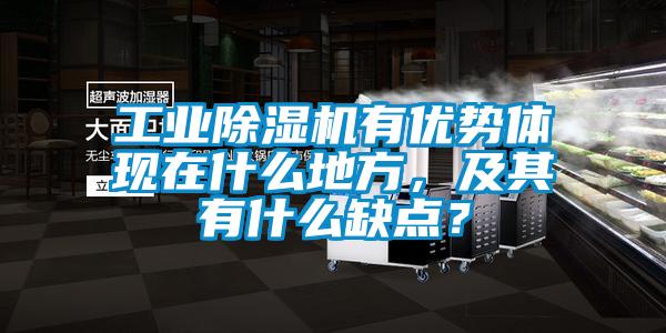 工业芭乐APP下载官网入口新版有优势体现在什么地方，及其有什么缺点？