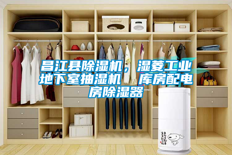 昌江县芭乐APP下载官网入口新版，湿菱工业地下室抽湿机  库房配电房除湿器
