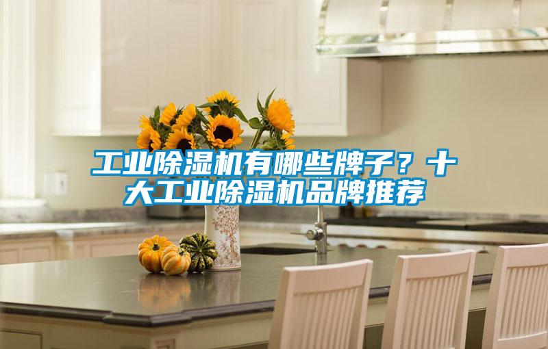 工业芭乐APP下载官网入口新版有哪些牌子？十大工业芭乐APP下载官网入口新版品牌推荐