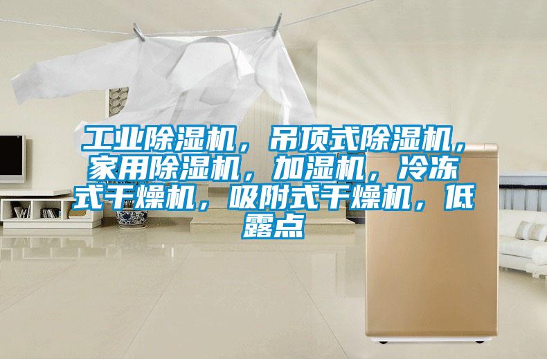 工业芭乐APP下载官网入口新版，吊顶式芭乐APP下载官网入口新版，家用芭乐APP下载官网入口新版，加湿机，冷冻式干燥机，吸附式干燥机，低露点
