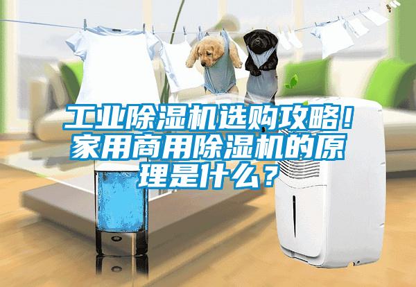 工业芭乐APP下载官网入口新版选购攻略！家用商用芭乐APP下载官网入口新版的原理是什么？