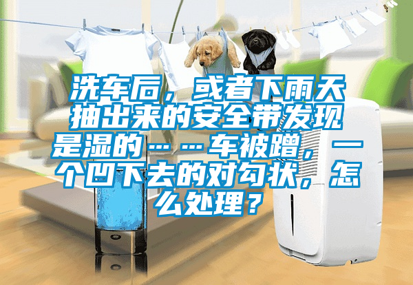 洗车后，或者下雨天抽出来的安全带发现是湿的……车被蹭，一个凹下去的对勾状，怎么处理？