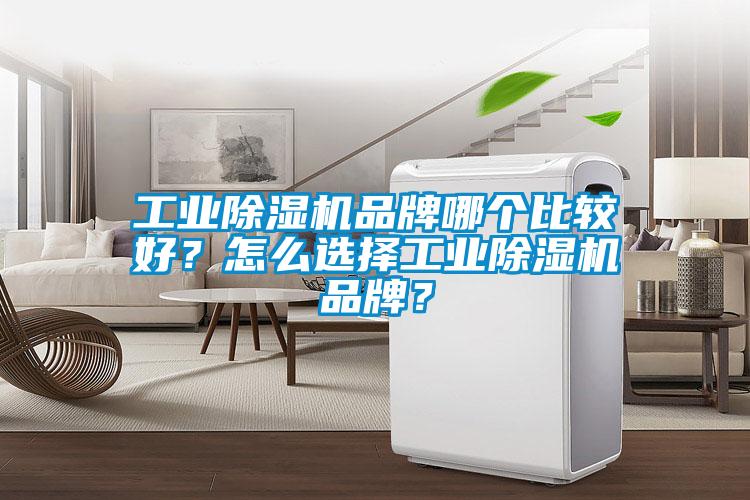 工业芭乐APP下载官网入口新版品牌哪个比较好？怎么选择工业芭乐APP下载官网入口新版品牌？