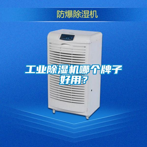 工业芭乐APP下载官网入口新版哪个牌子好用？