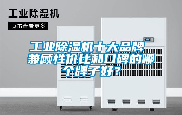 工业芭乐APP下载官网入口新版十大品牌 兼顾性价比和口碑的哪个牌子好？