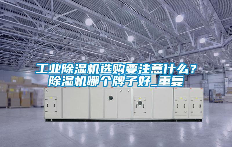 工业芭乐APP下载官网入口新版选购要注意什么？芭乐APP下载官网入口新版哪个牌子好_重复