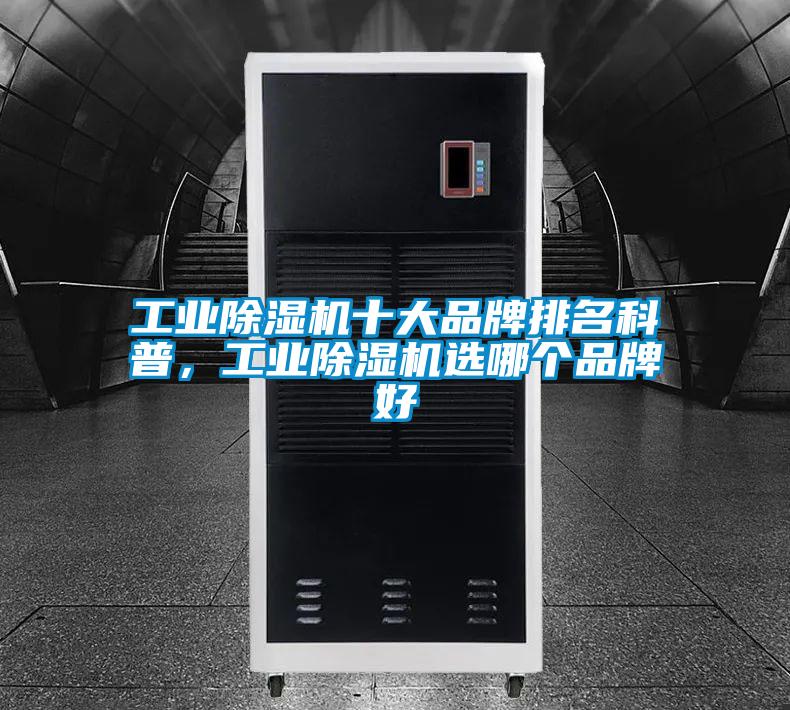 工业芭乐APP下载官网入口新版十大品牌排名科普，工业芭乐APP下载官网入口新版选哪个品牌好