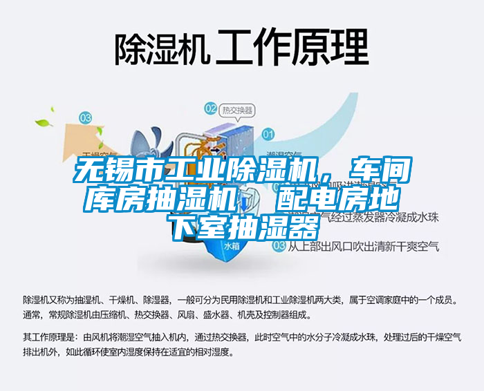 无锡市工业芭乐APP下载官网入口新版，车间库房抽湿机  配电房地下室抽湿器