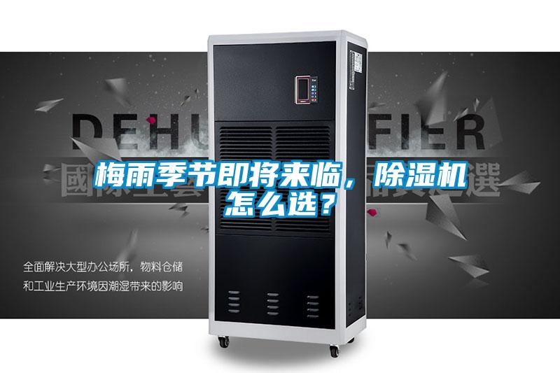 梅雨季节即将来临，芭乐APP下载官网入口新版怎么选？