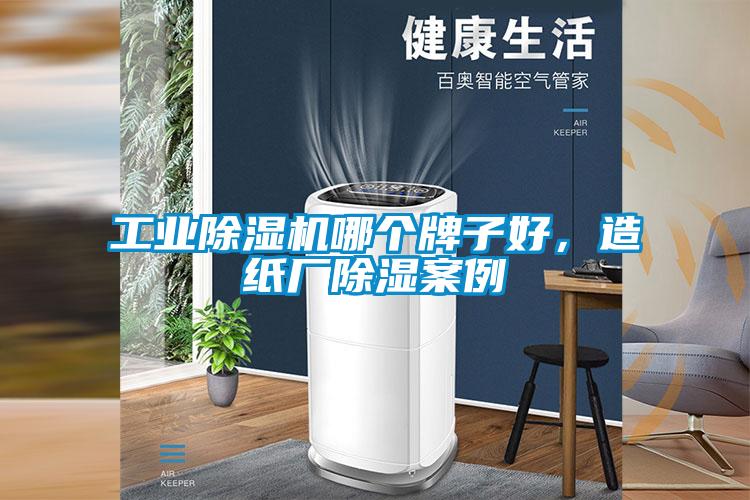 工业芭乐APP下载官网入口新版哪个牌子好，造纸厂除湿案例