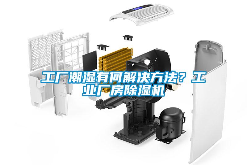 工厂潮湿有何解决方法？工业厂房芭乐APP下载官网入口新版