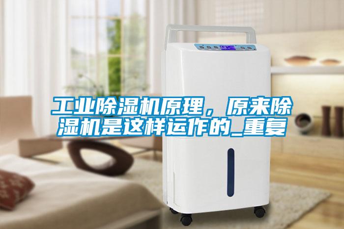 工业芭乐APP下载官网入口新版原理，原来芭乐APP下载官网入口新版是这样运作的_重复