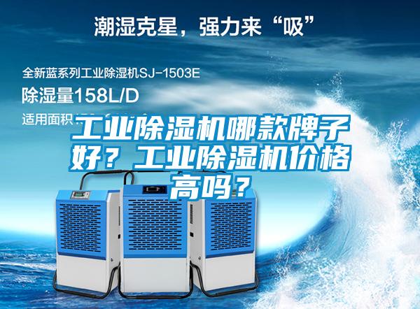 工业芭乐APP下载官网入口新版哪款牌子好？工业芭乐APP下载官网入口新版价格高吗？