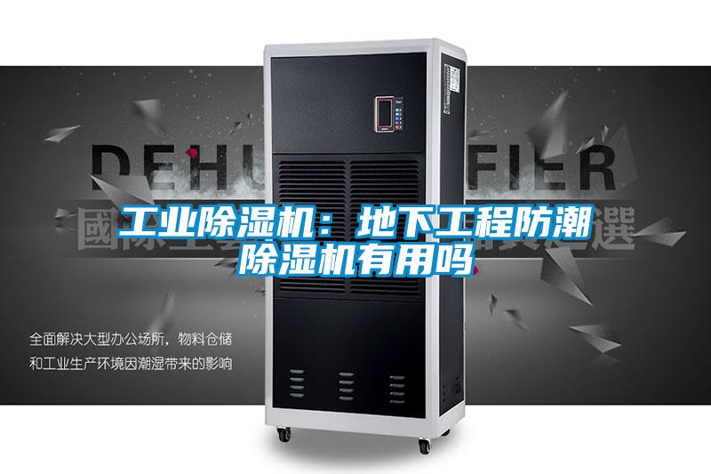 工业芭乐APP下载官网入口新版：地下工程防潮芭乐APP下载官网入口新版有用吗