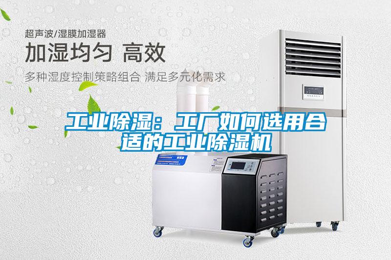 工业除湿：工厂如何选用合适的工业芭乐APP下载官网入口新版