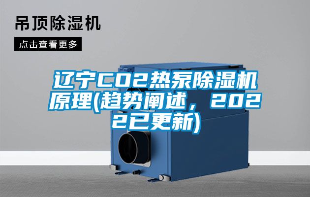 辽宁CO2热泵芭乐APP下载官网入口新版原理(趋势阐述，2022已更新)