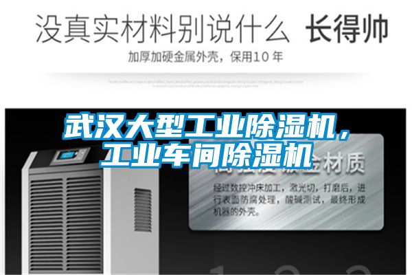 武汉大型工业芭乐APP下载官网入口新版，工业车间芭乐APP下载官网入口新版