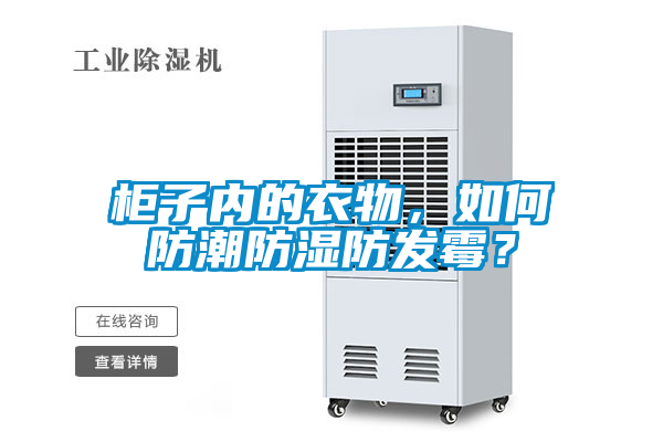 柜子内的衣物，如何防潮防湿防发霉？