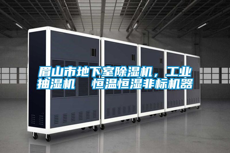 眉山市地下室芭乐APP下载官网入口新版，工业抽湿机  恒温恒湿非标机器