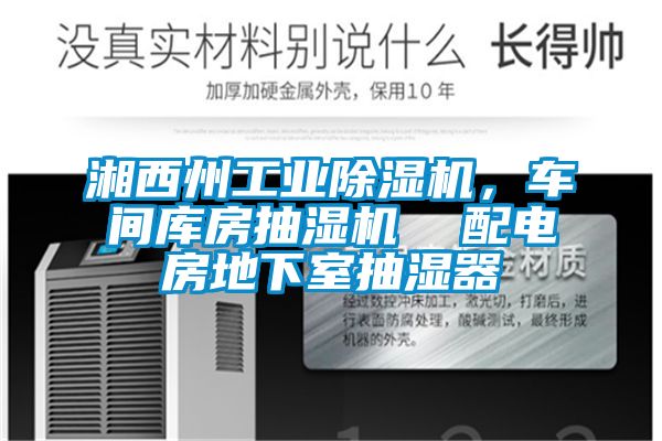 湘西州工业芭乐APP下载官网入口新版，车间库房抽湿机  配电房地下室抽湿器