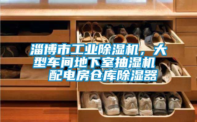 淄博市工业芭乐APP下载官网入口新版，大型车间地下室抽湿机  配电房仓库除湿器