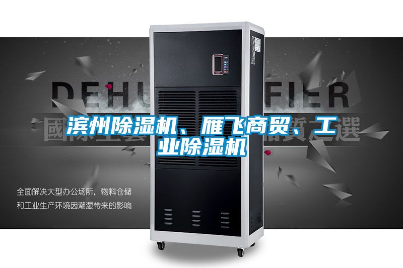 滨州芭乐APP下载官网入口新版、雁飞商贸、工业芭乐APP下载官网入口新版