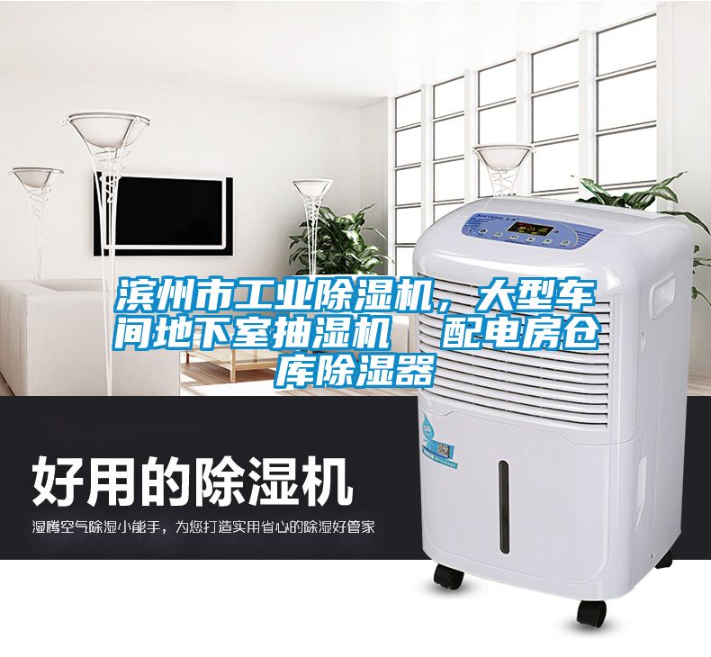 滨州市工业芭乐APP下载官网入口新版，大型车间地下室抽湿机  配电房仓库除湿器
