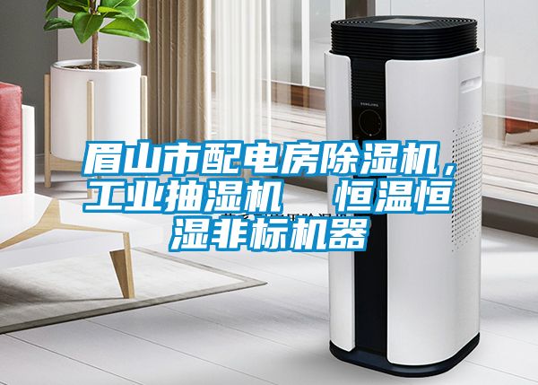 眉山市配电房芭乐APP下载官网入口新版，工业抽湿机  恒温恒湿非标机器