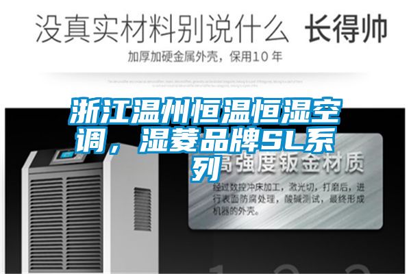 浙江温州恒温恒湿空调，湿菱品牌SL系列