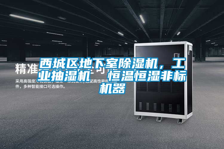 西城区地下室芭乐APP下载官网入口新版，工业抽湿机  恒温恒湿非标机器