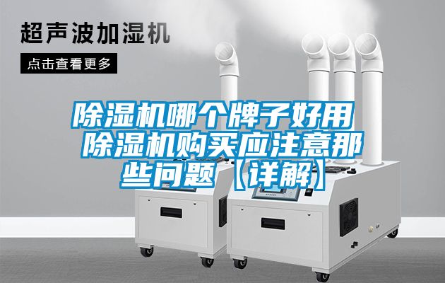 芭乐APP下载官网入口新版哪个牌子好用 芭乐APP下载官网入口新版购买应注意那些问题【详解】