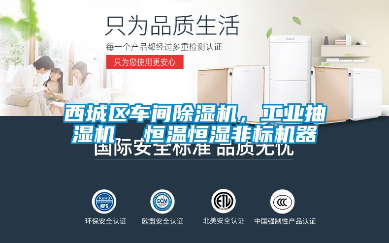 西城区车间芭乐APP下载官网入口新版，工业抽湿机  恒温恒湿非标机器