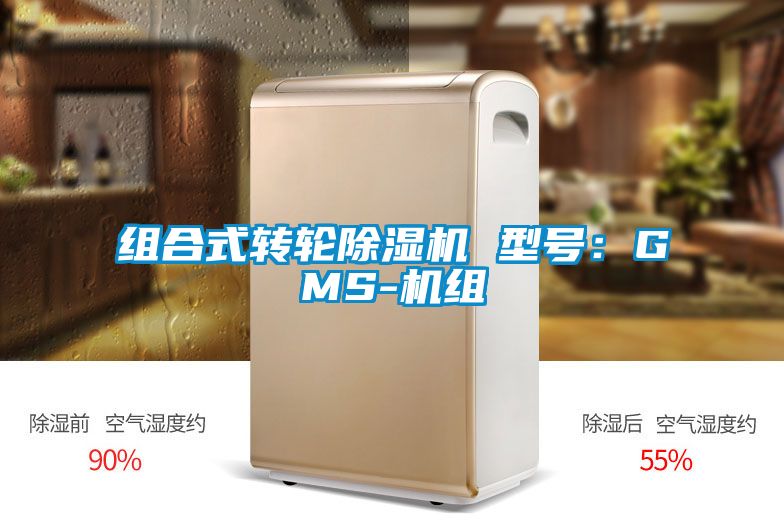 组合式转轮芭乐APP下载官网入口新版 型号：GMS-机组