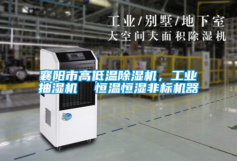 襄阳市高低温芭乐APP下载官网入口新版，工业抽湿机  恒温恒湿非标机器