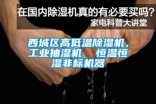 西城区高低温芭乐APP下载官网入口新版，工业抽湿机  恒温恒湿非标机器