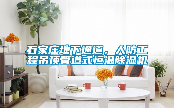 石家庄地下通道，人防工程吊顶管道式恒温芭乐APP下载官网入口新版