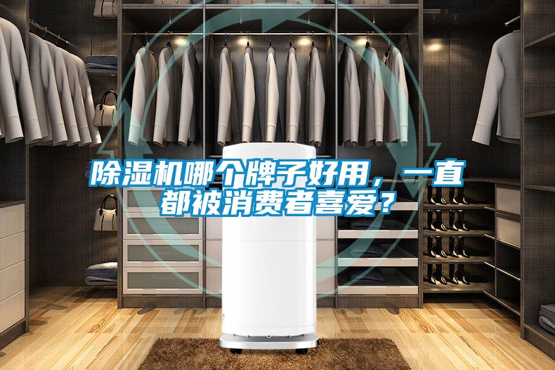 芭乐APP下载官网入口新版哪个牌子好用，一直都被消费者喜爱？