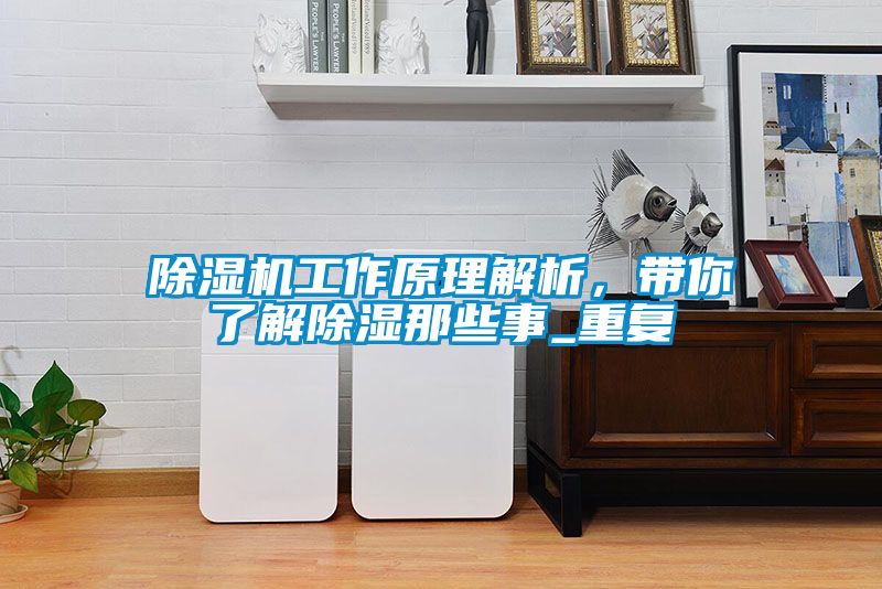 芭乐APP下载官网入口新版工作原理解析，带你了解除湿那些事_重复