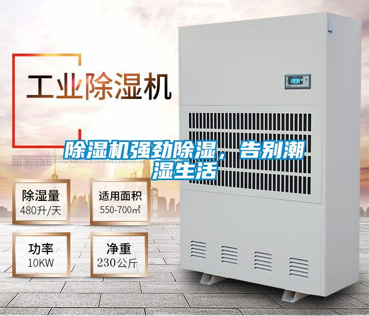 芭乐APP下载官网入口新版强劲除湿，告别潮湿生活