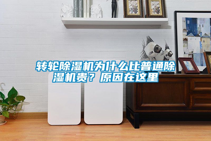 转轮芭乐APP下载官网入口新版为什么比普通芭乐APP下载官网入口新版贵？原因在这里