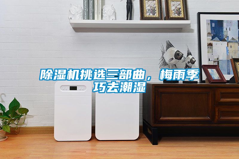 芭乐APP下载官网入口新版挑选三部曲，梅雨季巧去潮湿