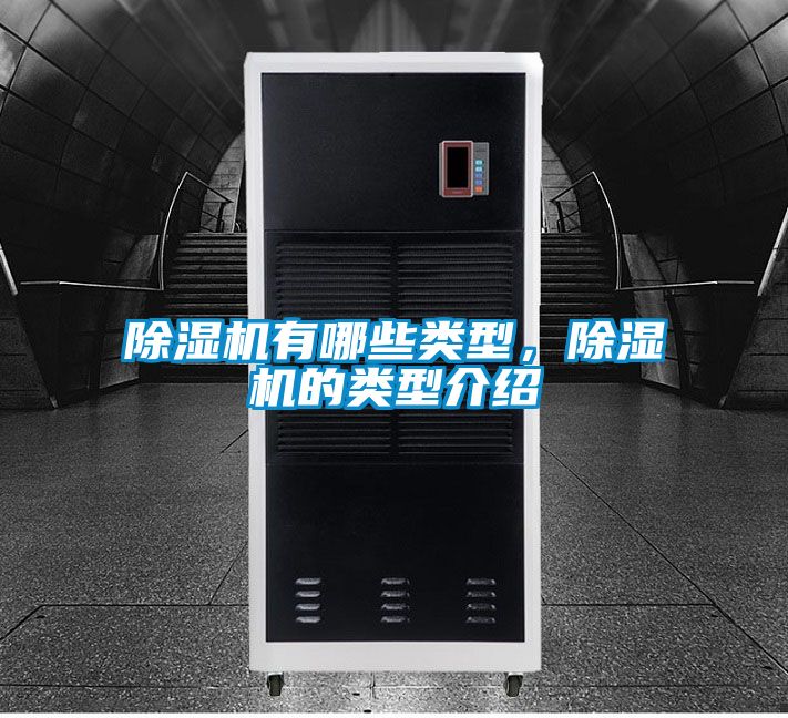 芭乐APP下载官网入口新版有哪些类型，芭乐APP下载官网入口新版的类型介绍