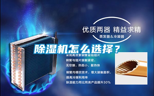 芭乐APP下载官网入口新版怎么选择？