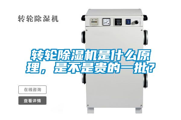 转轮芭乐APP下载官网入口新版是什么原理，是不是贵的一批？