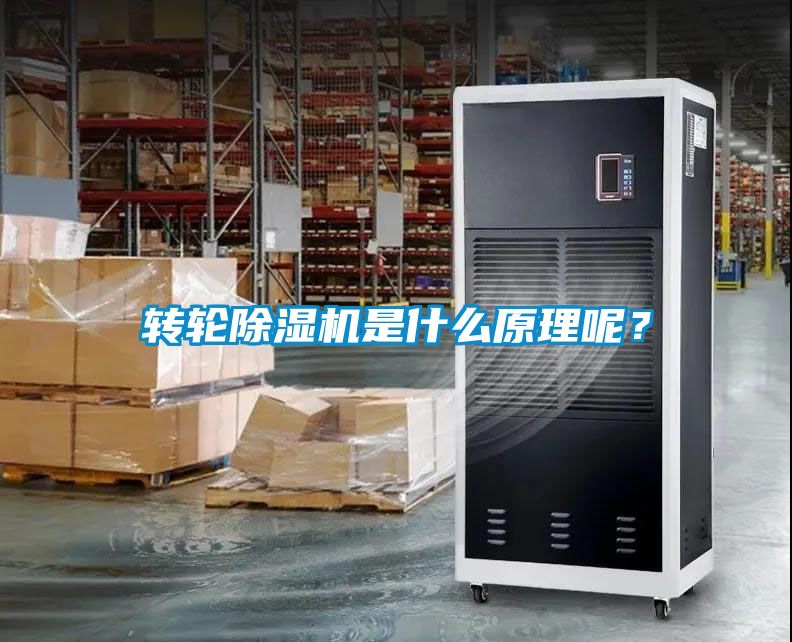 转轮芭乐APP下载官网入口新版是什么原理呢？
