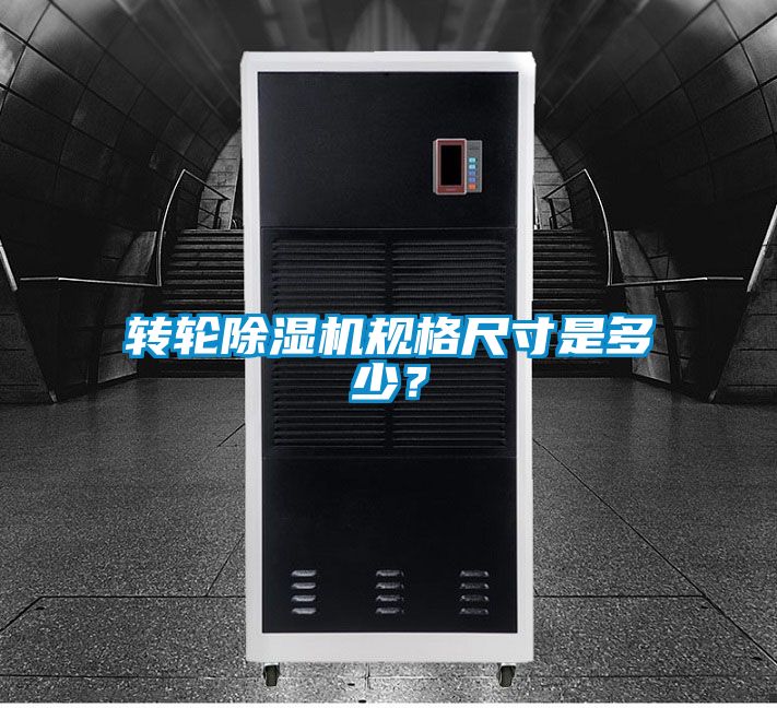 转轮芭乐APP下载官网入口新版规格尺寸是多少？