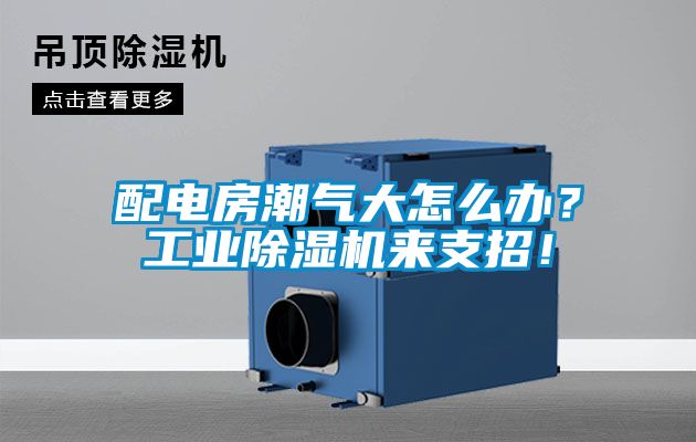 配电房潮气大怎么办？工业芭乐APP下载官网入口新版来支招！